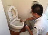 画像: トイレクリーニング